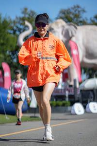 BIB: 
                            <button type="button" onclick="openModal(26544909)" class="btn btn-primary btn-sm float-right btn-popup" data-toggle="modal" data-target=".modal-high-quality">
                        <i class="fas fa-shopping-cart"></i> Add to Cart
                    </button>
                                            <button type="button" onclick="isThisMe(26544909, true)" class="btn btn-success btn-sm float-right btn-popup btn-isme hidden" data-toggle="tooltip" data-placement="bottom" title="นี่คือรูปของคุณใช่ไหม คลิกที่นี่เพื่อเอาเข้าอัลบั้ม">
                        <i class="fas fa-plus"></i> Add to album
                    </button>
                    <button type="button" onclick="isThisMe(26544909, false)" class="btn btn-warning btn-sm float-right btn-popup btn-isnotme hidden">
                        <i class="fas fa-ban"></i> Remove from album
                    </button>